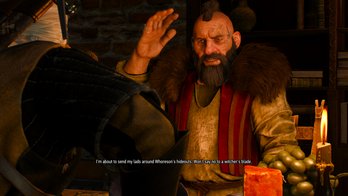 The Gangs of Novigrad Novigrad